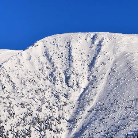 Pohoda スピンドレルフ・ムリン